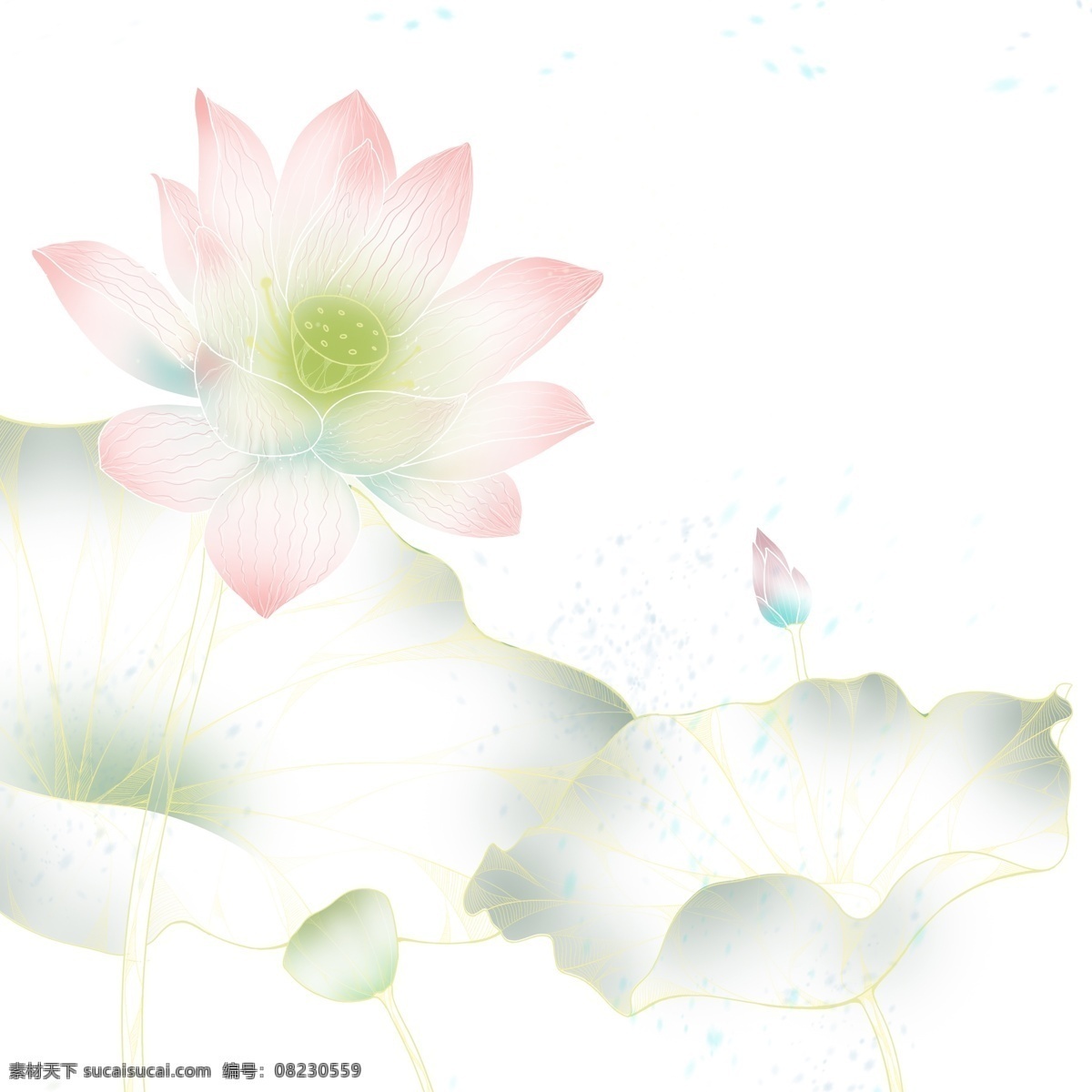 炫彩 盛开 荷花 免 抠 图 唯美 艺术 线条 植物 花朵 免抠图