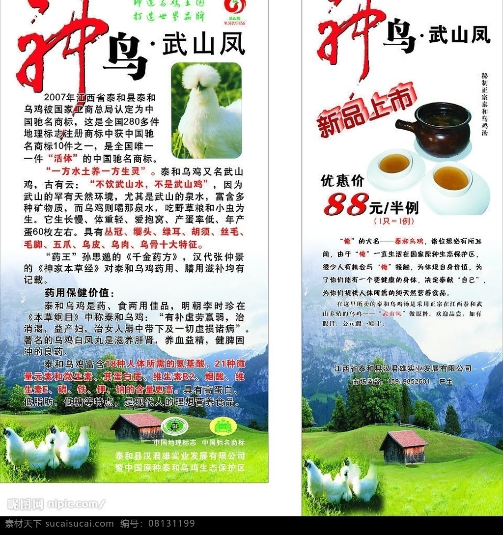 泰和乌鸡设计 矢量图库