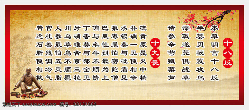 中药养生展板 中医 中药 养生 中医知识 中药海报