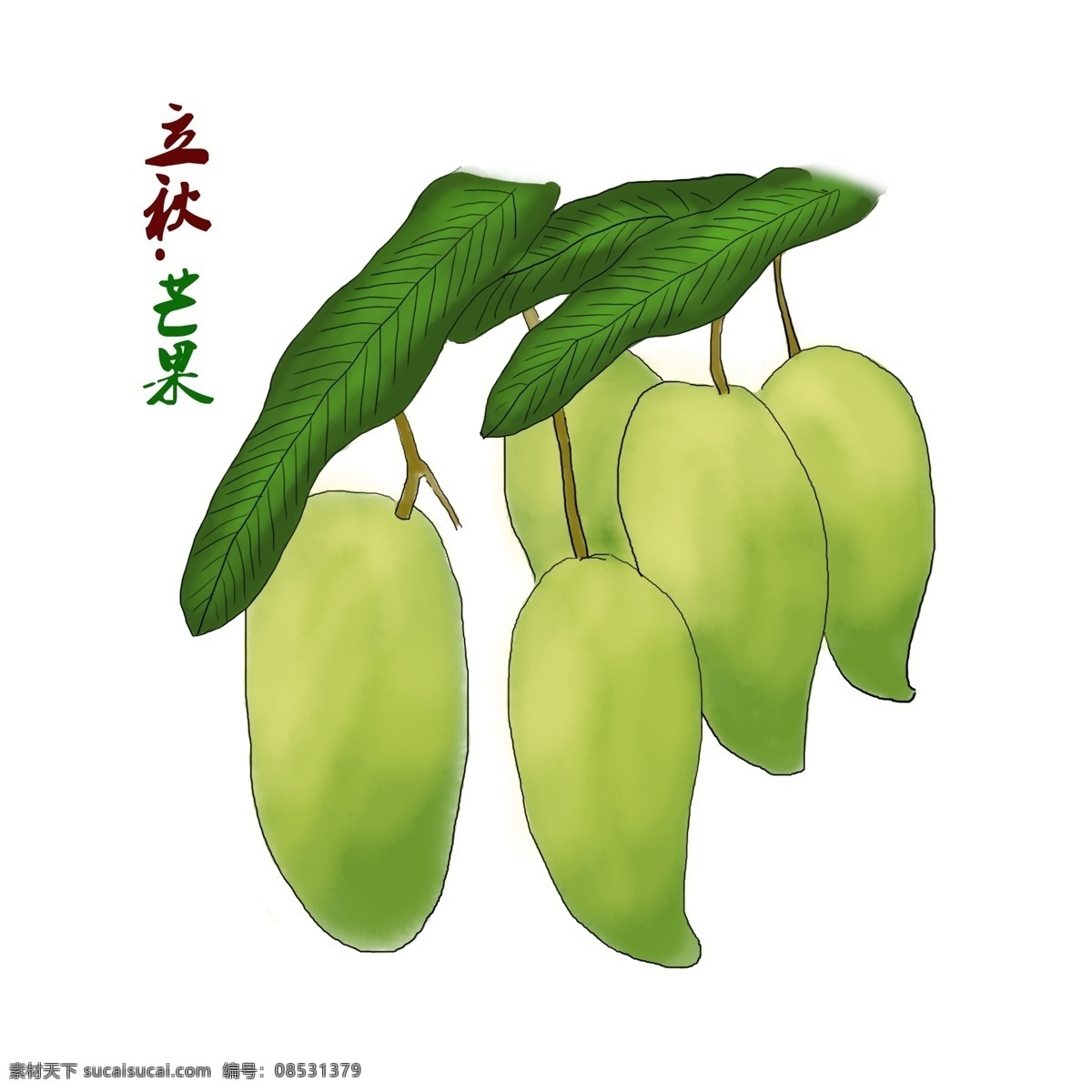 立秋 二十四节气 原创 商用 元素 芒果 青芒果 果实 水果 台芒果