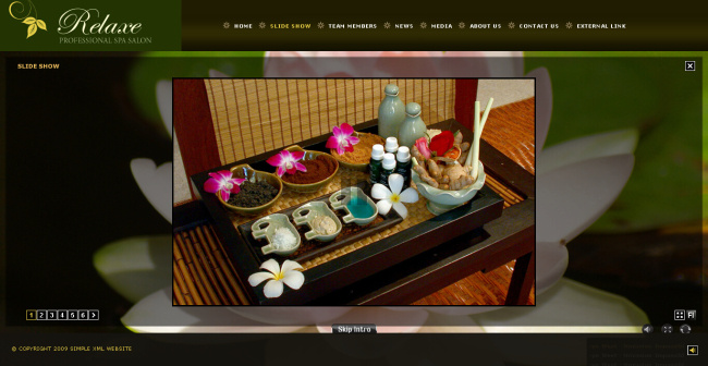 高雅 品茶 网页动画 模板 网页设计 网站 动画网站素材 动画 网页模板 网页素材 flash