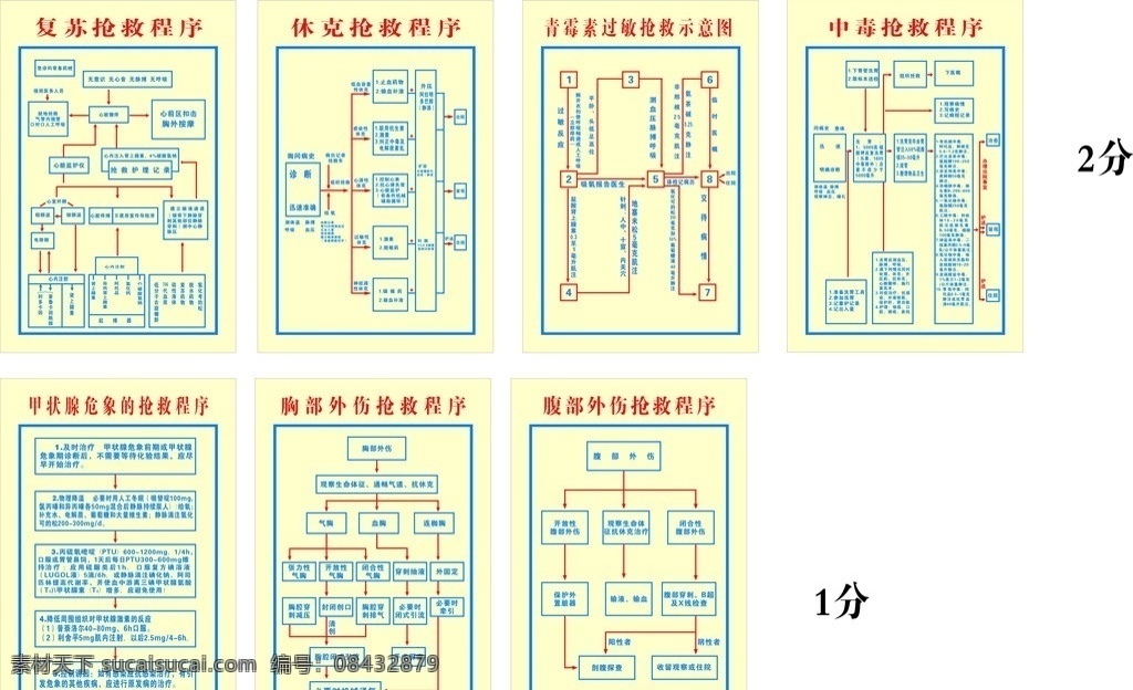 抢救程序 中毒 青霉素过敏 胸部外伤 腹部 休克 复苏 甲状脉危象 示意图 矢量