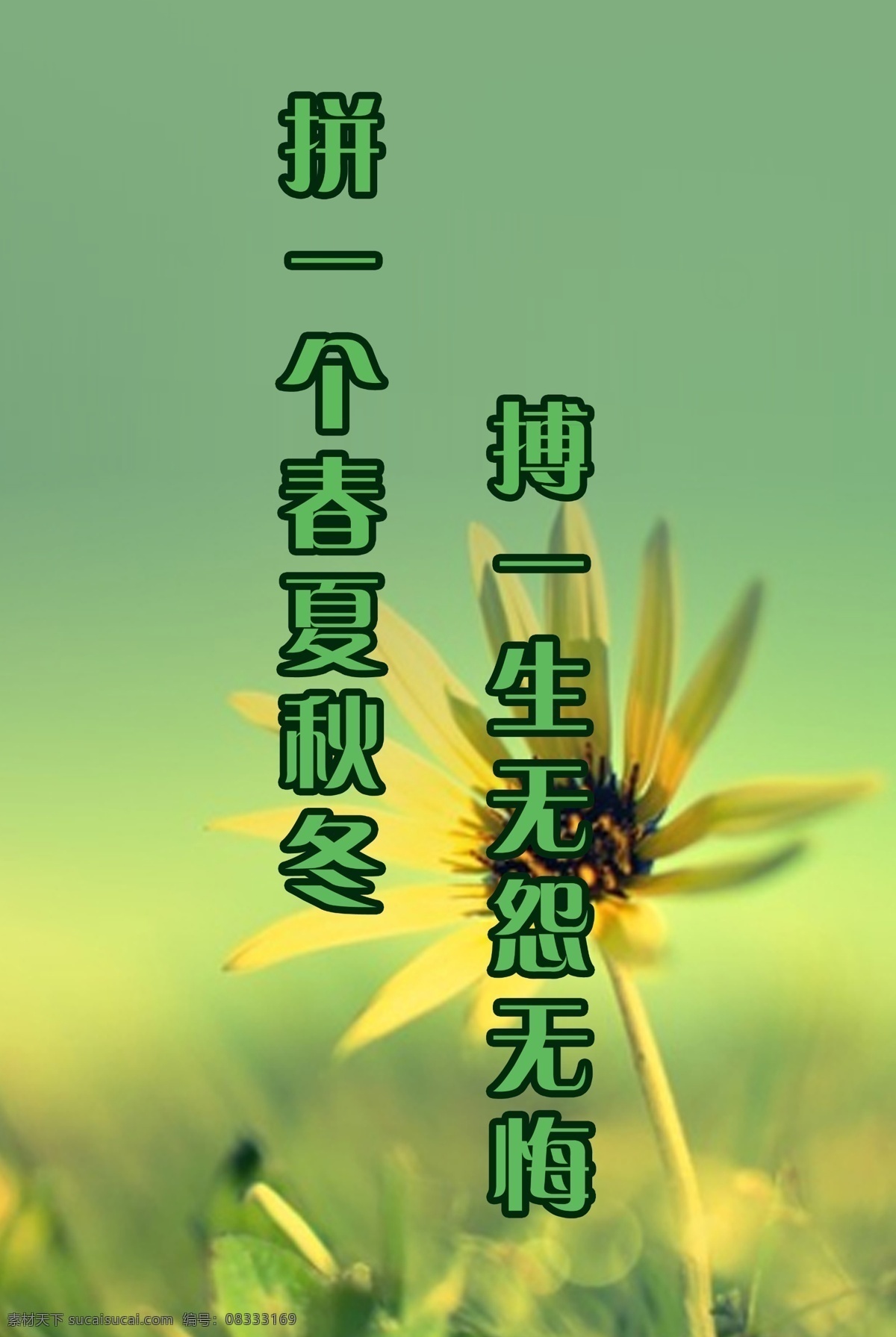 梦想 大学生 蒲公英 海报 展板 景色 景 理想 大学梦 励志