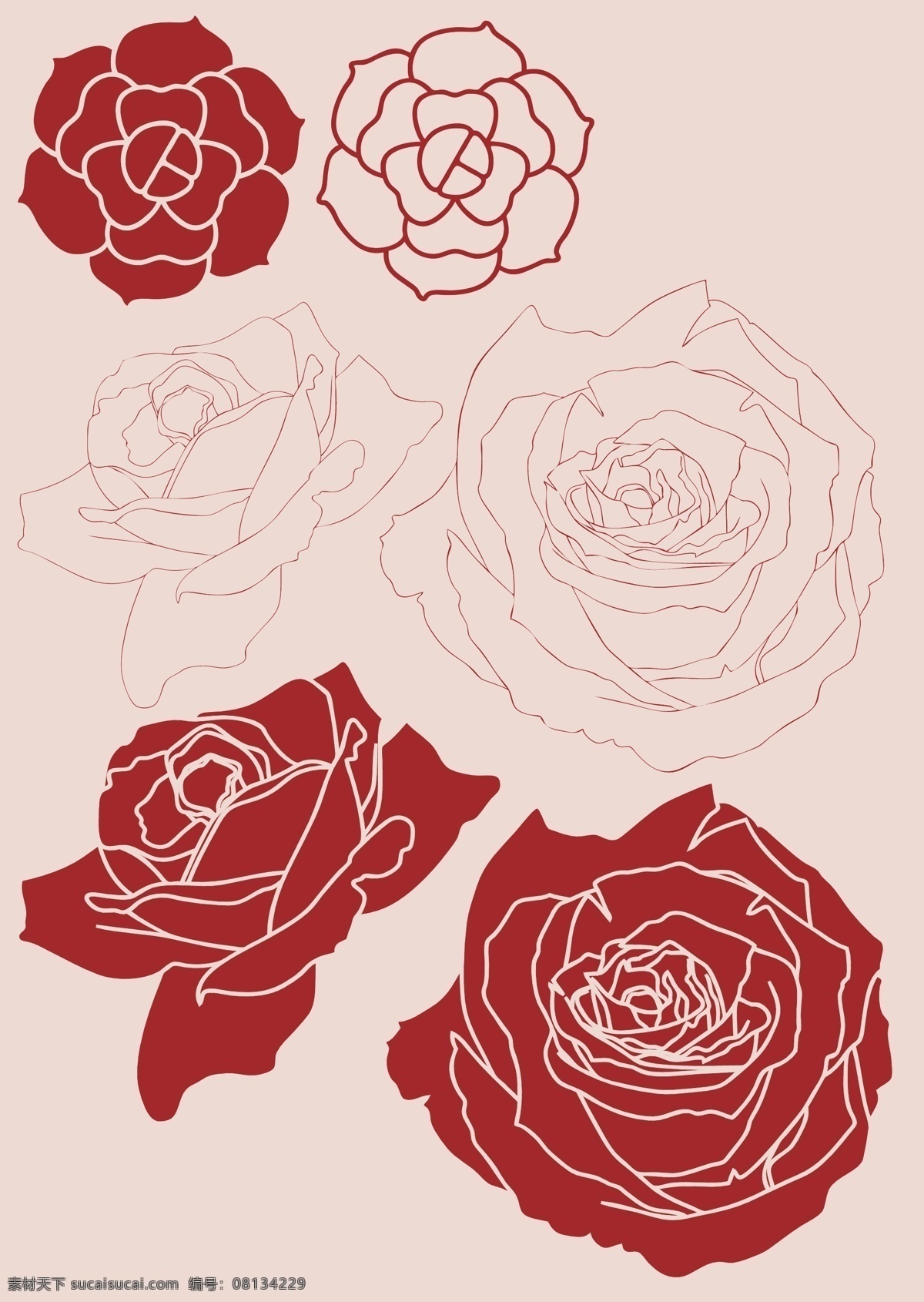 白描玫瑰花 矢量 玫瑰 花头 图案 线描 花纹 花卉 花朵 蕾丝 刺绣 类 花纹花边 底纹边框