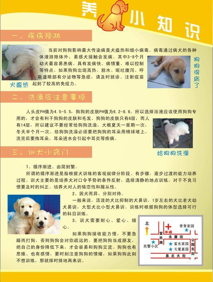 cdr格式 宠物 宠物狗 宠物医院 宠物医院反 养狗知识 犬病治疗 宠物洗澡 宠物训练 寄养狗 驯狗 训狗 矢量 psd源文件