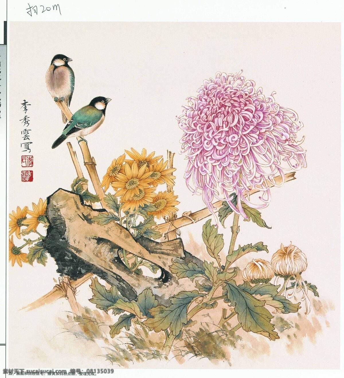 国画 花鸟 菊花 花草 绘画书法 文化艺术