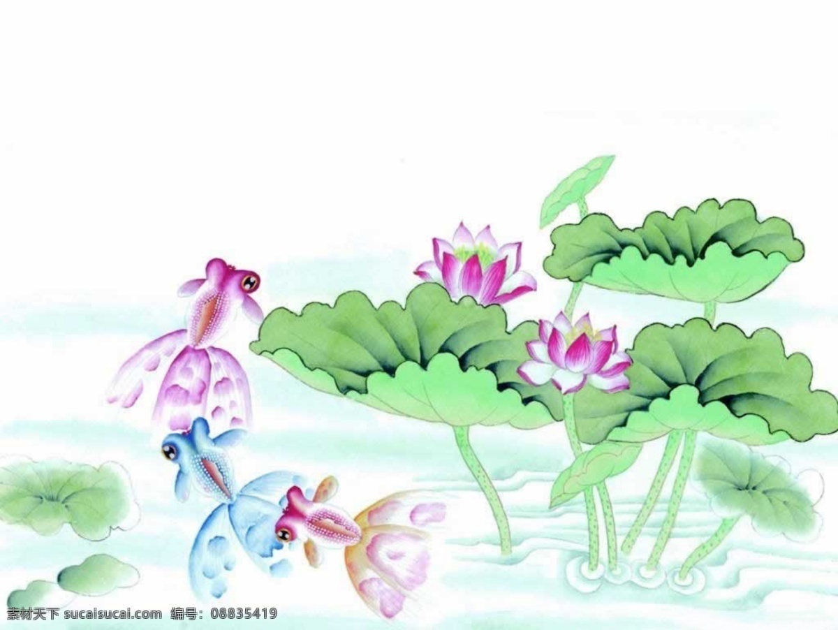 金鱼 bmp 绘画书法 设计图库 生物世界 文化艺术 鱼类 　 荷花 荷叶 戏水 池塘 精美图片