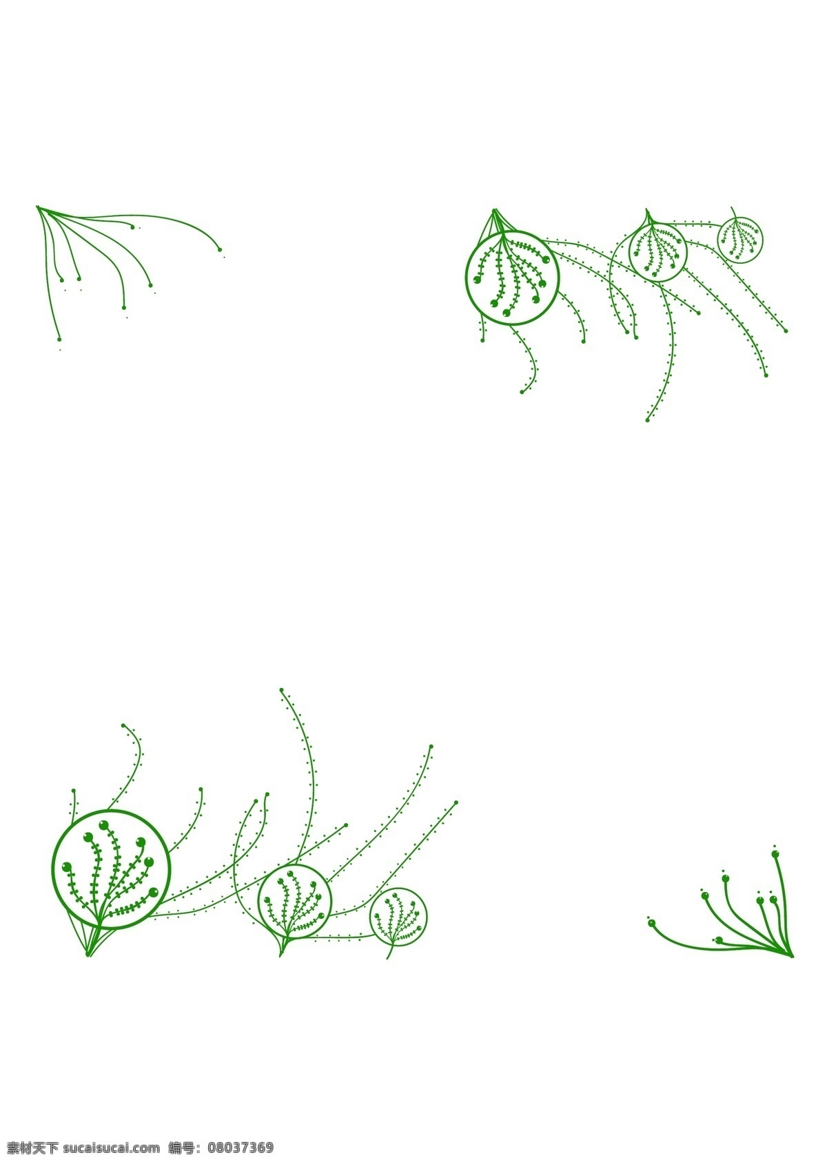 夏日 清新 绿色 圆形 可爱 边框 小 花草 纹理 小清新 边框纹理 免抠png 手绘边框 夏日清新 婚庆