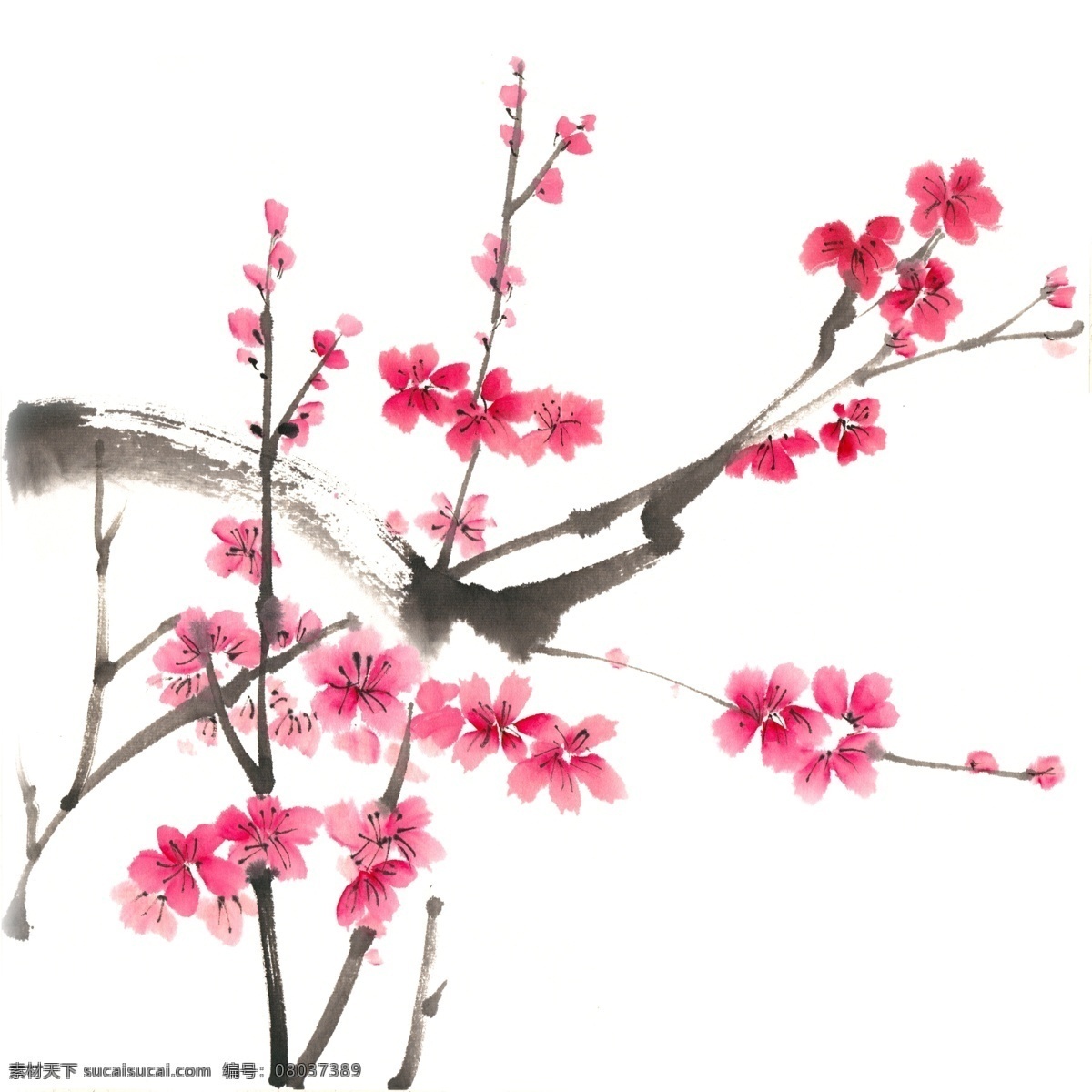 红梅 水墨画 免 抠 水墨 国画 手绘 傲雪 冬季 盛开 梅花 写意 免抠 淡雅 素淡 清幽 意境 绘画 逼真 写实 简约