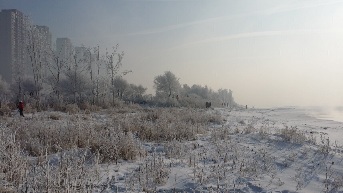雾凇 东北 冬天 雪 松花江 自然景观 自然风景 灰色