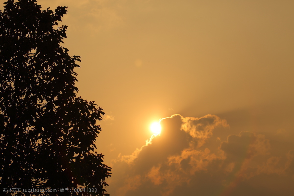 天空 云 意境 傍晚 夕阳 树叶 透过云的阳光 自然景观