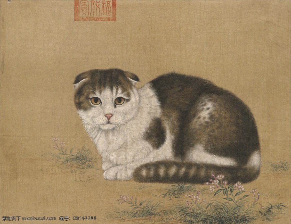 工笔猫 中国 绘画 传统 猫 工笔 绘画书法 文化艺术