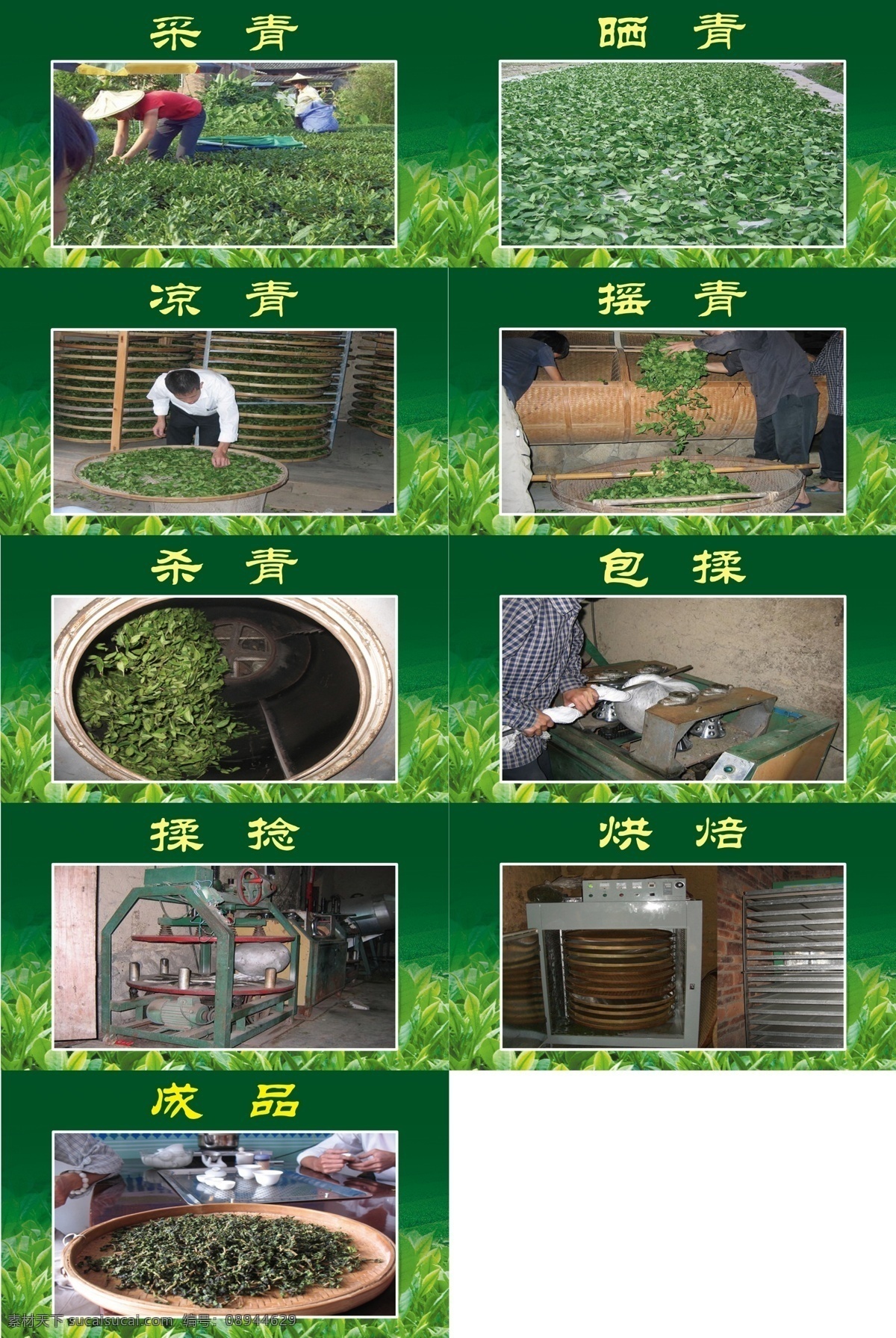 制茶工序素材图片下载-素材编号08944629-素材天下图库