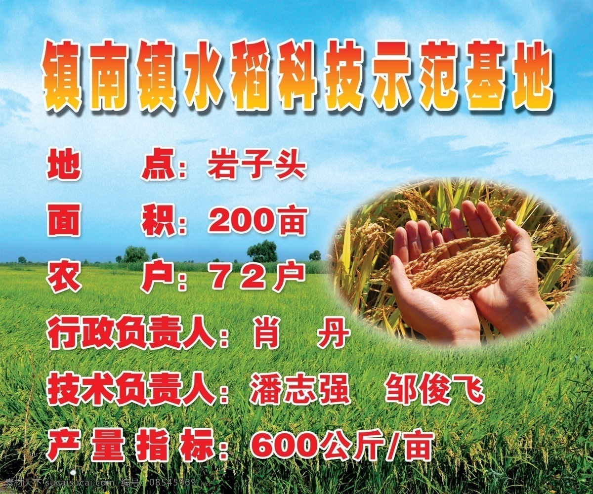 水稻基地 水稻 分层 源文件