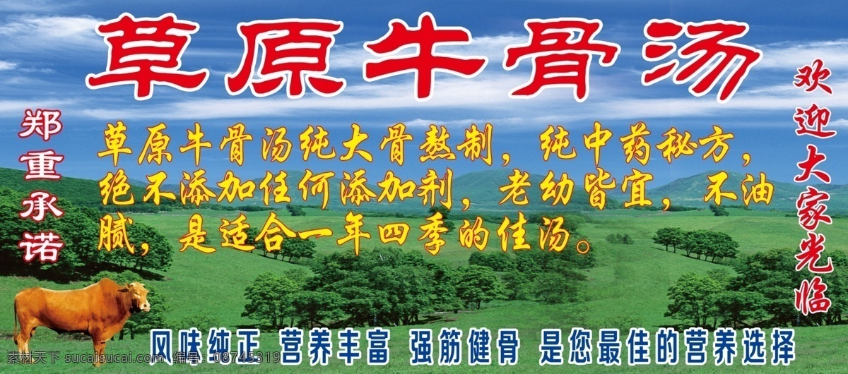 草原牛骨汤 牛 草原 蓝天 白云