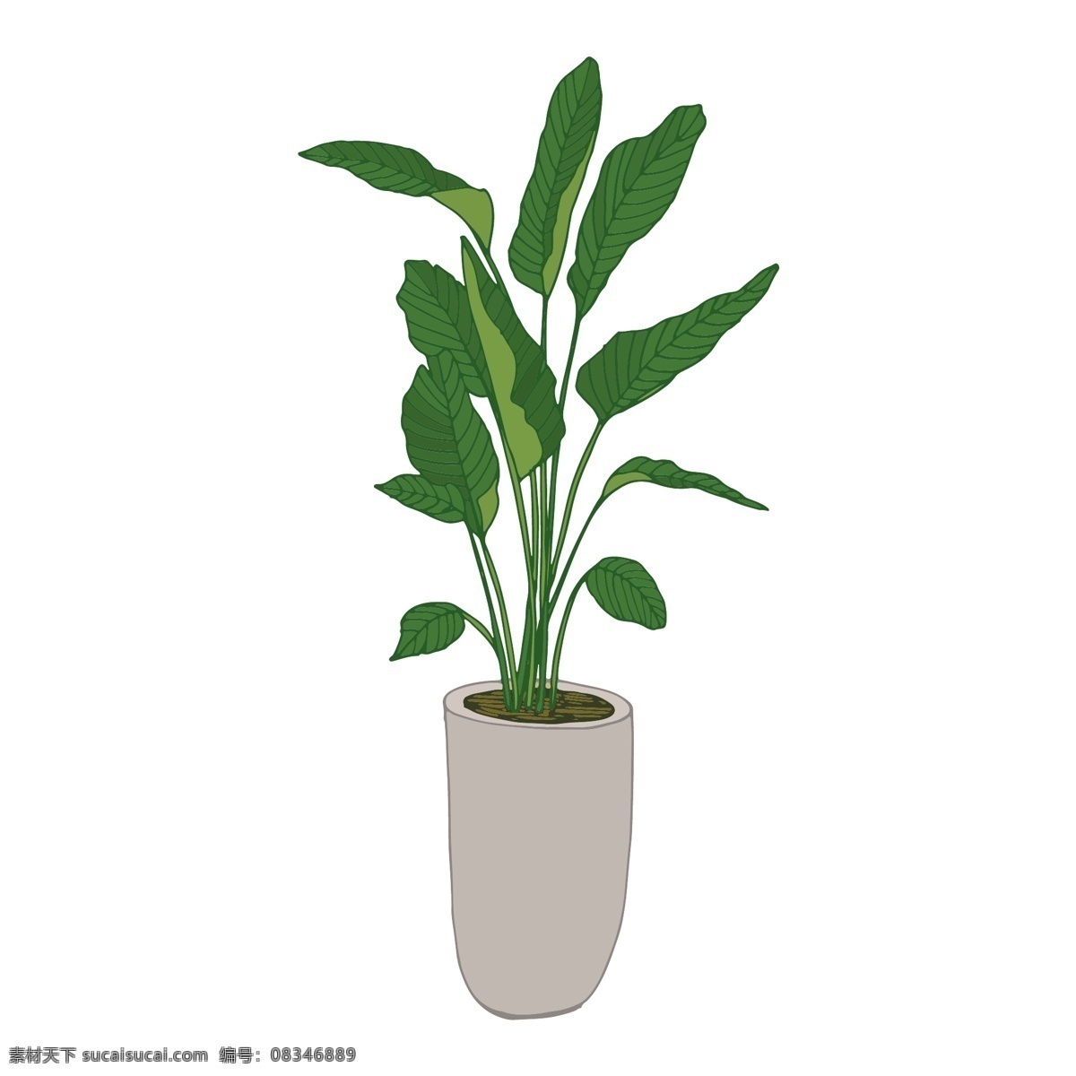 植物手绘 手绘 线稿 白描 植物 花朵 果实 春天花朵 白描花 矢量花 矢量白描 白描树叶 白描水果 手绘线稿 手绘水果 线稿植物 线稿果实 线稿花朵 植物线稿