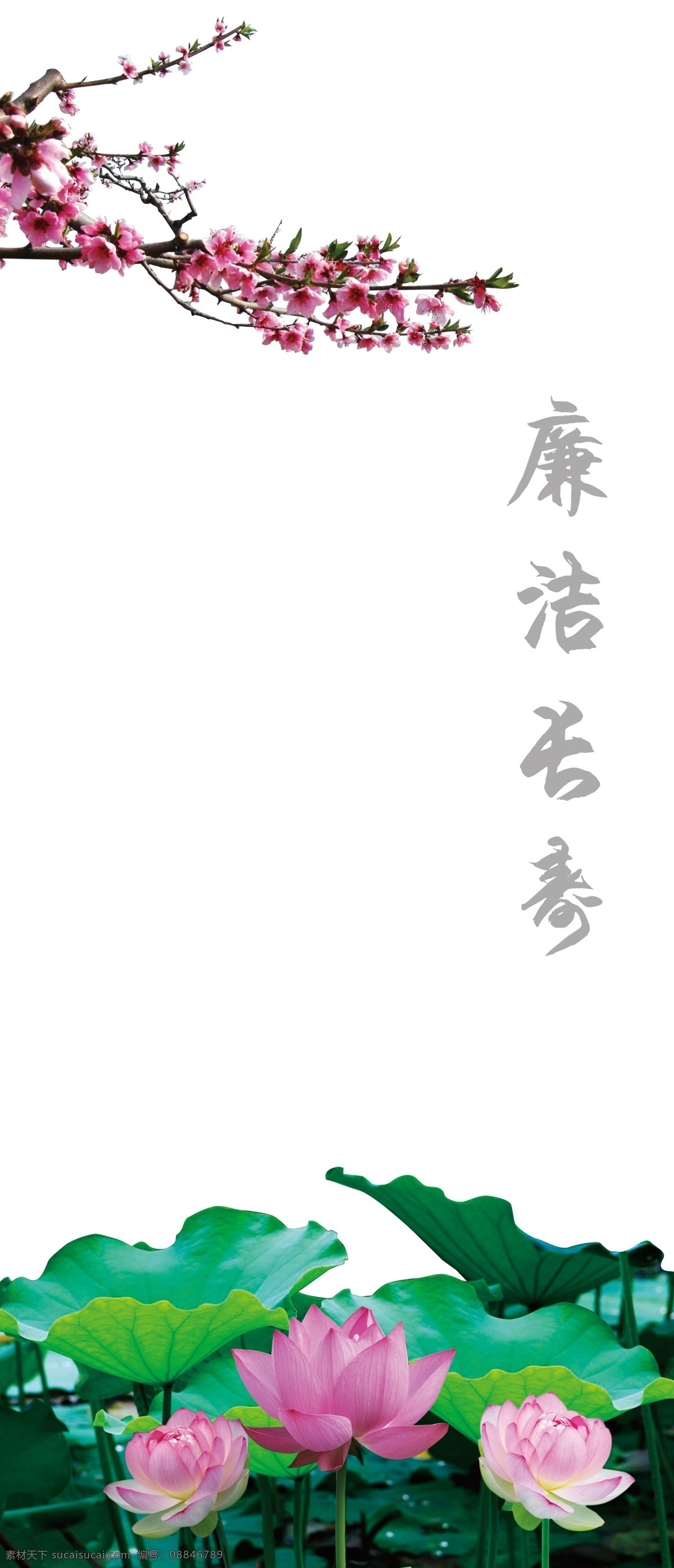 广告设计模板 荷花 荷叶 梅花 移门图案 源文件 展板模板 廉洁 长寿 模板下载 廉洁长寿 psd源文件