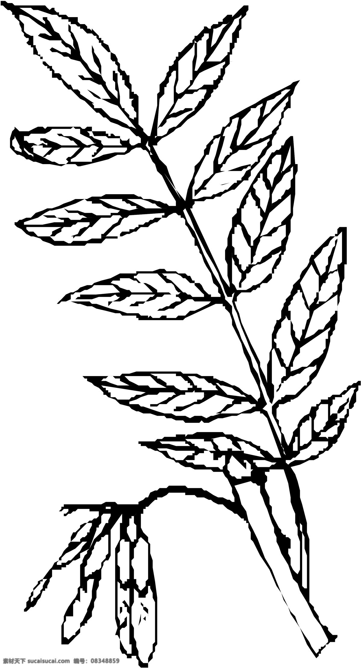 花草 矢量植物 矢量 eps0213 设计素材 叶的世界 矢量图库 白色