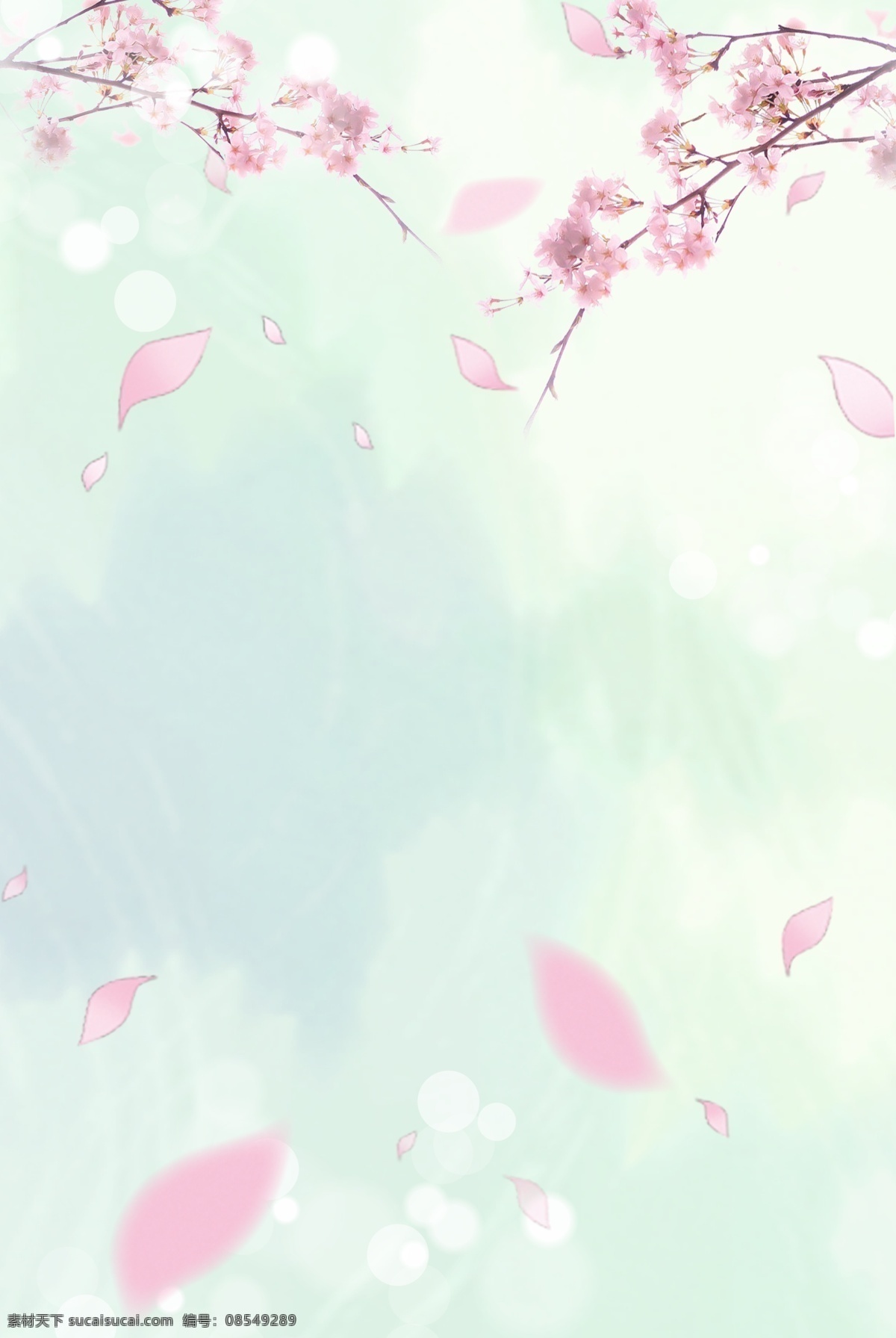 清新 花瓣 光影 背景 图 边框 原创 文艺 质感 纹理 简约 极简 扁平 海报
