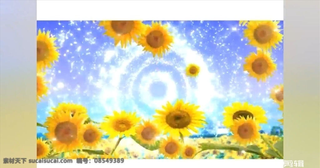 向日葵的微笑 向日葵 视频 ae led 背景 影视片头素材 多媒体 影视编辑 合成背景素材 mp4