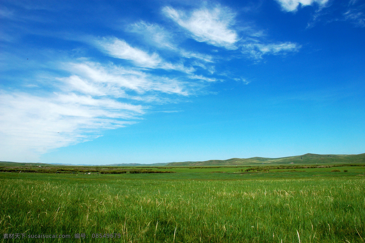 大草原 草原 呼伦贝尔 牧场 草场 蒙古 高原 高山 蓝天白云 自然景观 自然风景