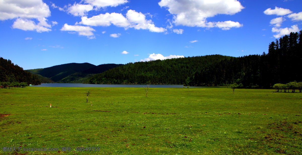 香格里拉 普 达 措 云南 中甸 普达措 旅游 景点 草原 森林 山峦 蓝天 美景 风景 风光 放飞 风景照片 自然景观 自然风景