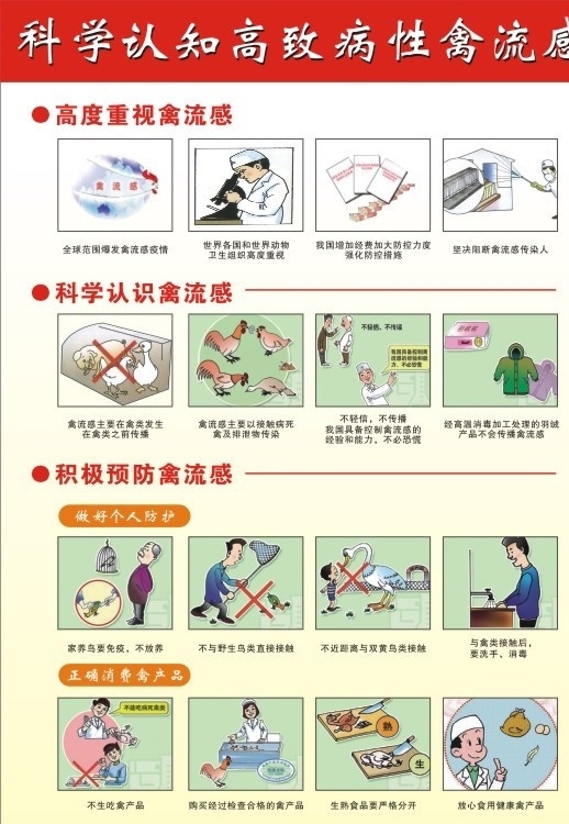 h7n9 禽流感 预防 宣 宣传 科学 认知 h1n1 猪流感 医疗保健 生活百科 矢量