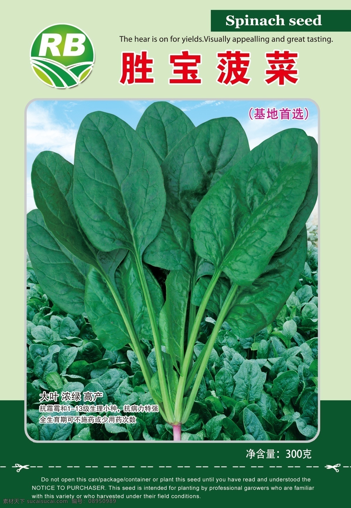 胜宝菠菜 包装设计 菠菜 种子包装 菠菜地 纸袋包装 菠菜种子 绿色