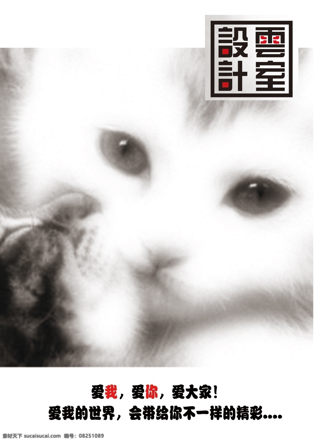 猫咪海报 保护动物 关爱动物 白色