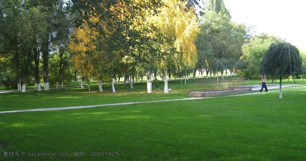 公园草地 草坪 绿地 绿油油 景观 夏末的树 树叶 树 榆树 杨树 小区园林景观 园林建筑 建筑园林