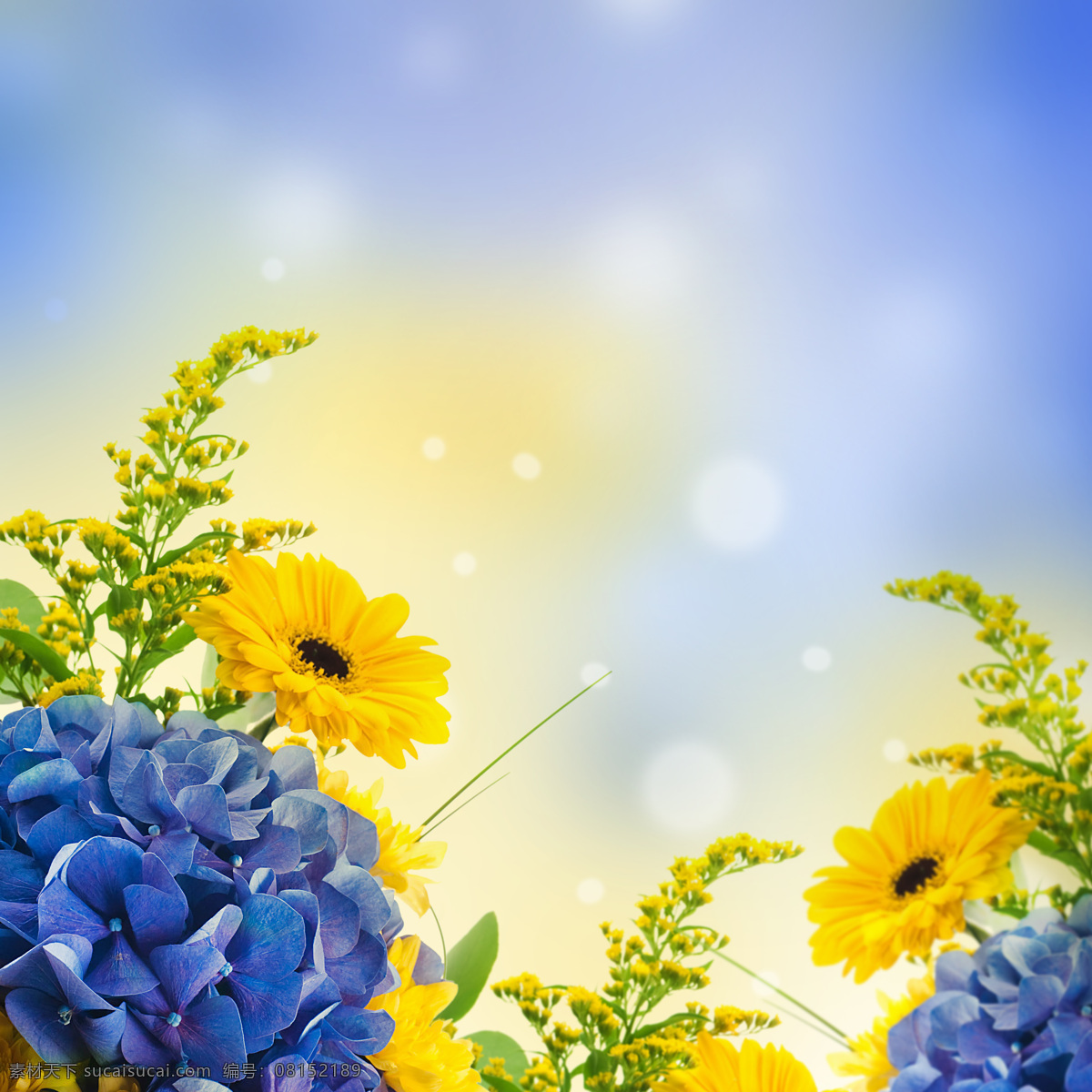 鲜花 素材图片 花朵 底纹背景 花草树木 花木场 生物世界