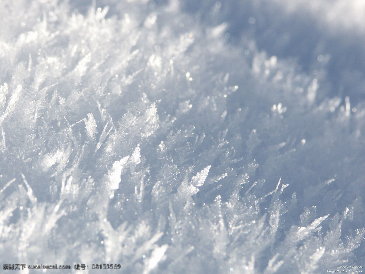 雪花 雪景 冬季 大雪 雪片 自然风景 自然景观