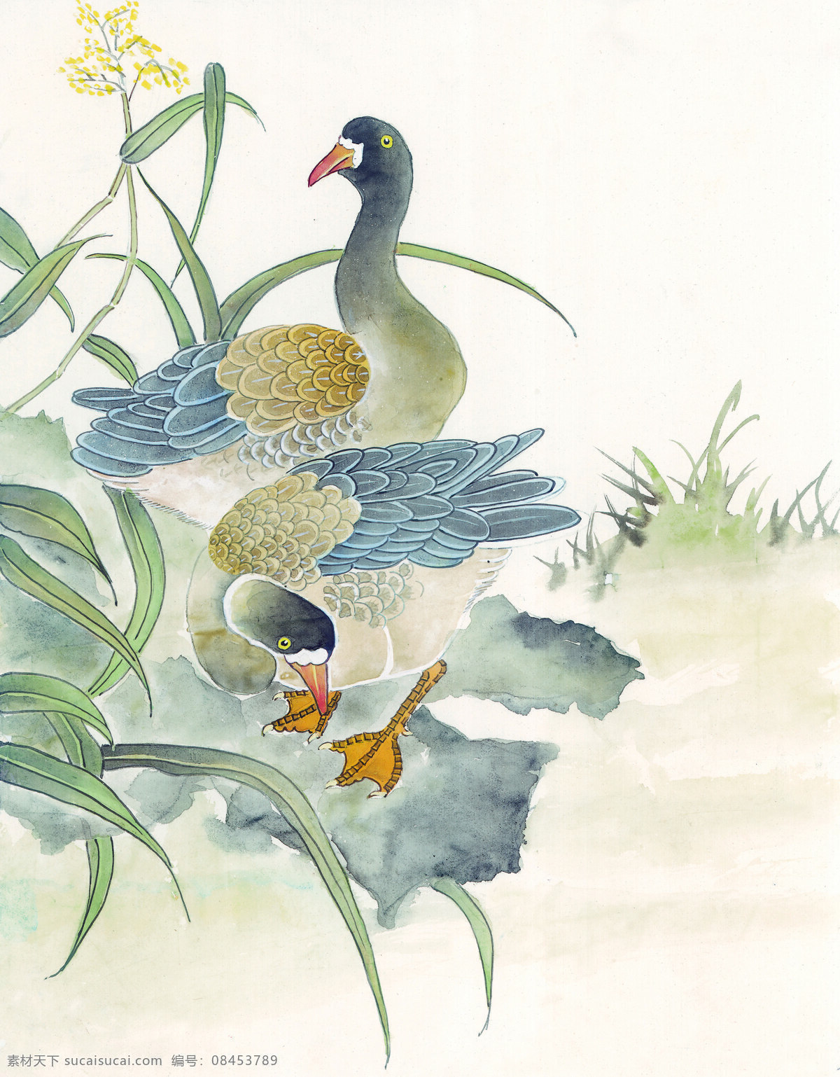 中华 艺术 绘画 古画 动物 孔雀 天鹅 鸳鸯 凤凰 中国 古代 传统绘画艺术 美术绘画 名画欣赏 水彩画 水墨画 文化艺术