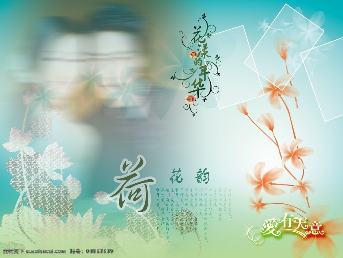 分层 荷花 花 婚纱模版 艺术字 源文件 婚纱 模版 模板下载 荷花韵 素材拼合 psd源文件