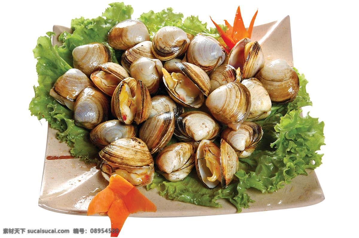 白蛤 饭店菜品 精品菜 美味佳肴 舌尖上的中国 传统美味 流水席 饭席 鲜香 椒盐 传统没事 现代美食 川菜 豫菜 卤菜 鲁菜 京菜 特色菜 炒菜 腌菜 热菜 美食 传统美食 餐饮素材 饭店 酒店 吃饭 饭 菜 餐饮 餐饮美食