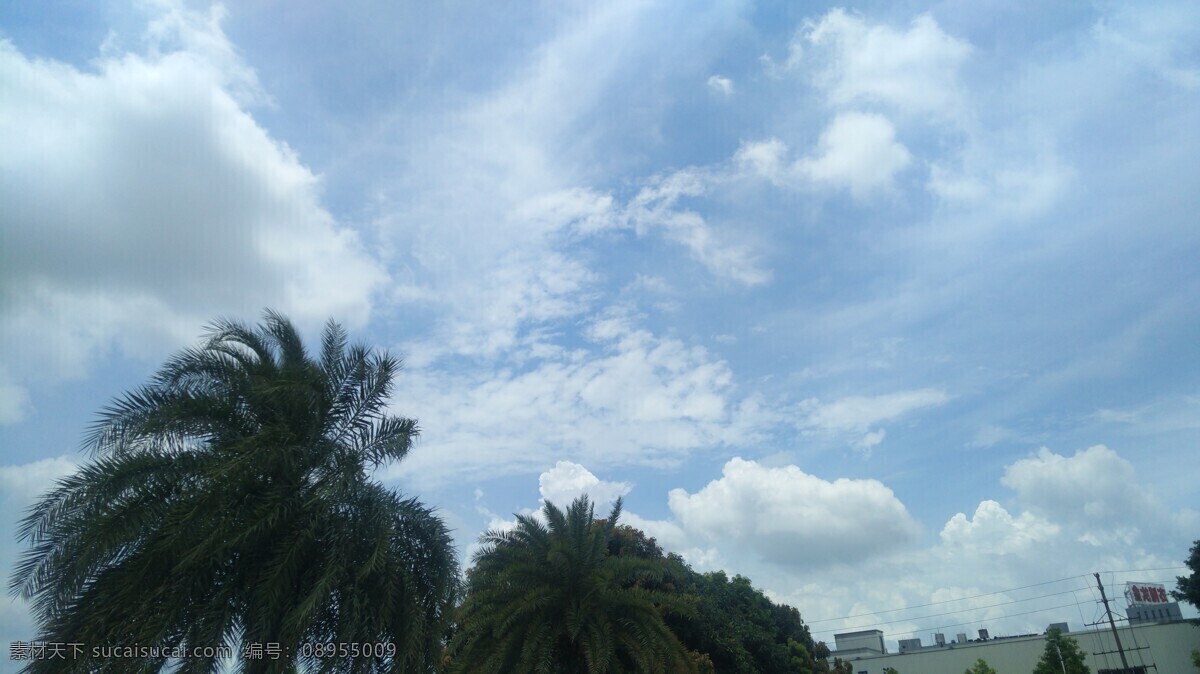 海报 背景 天空 自然 名片 自然景观 自然风景