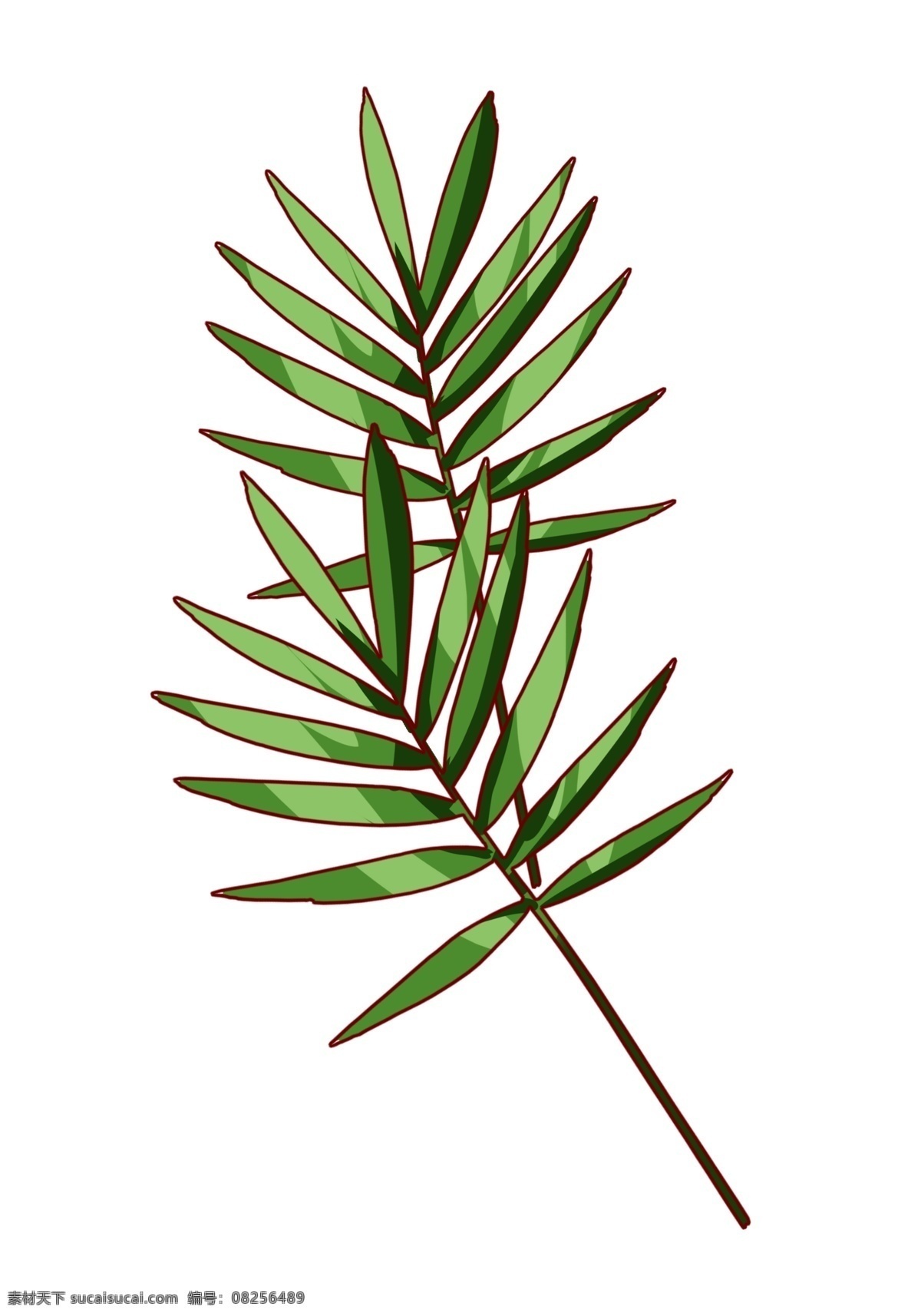 精美绿色植物 绿色 针型植物 绿叶