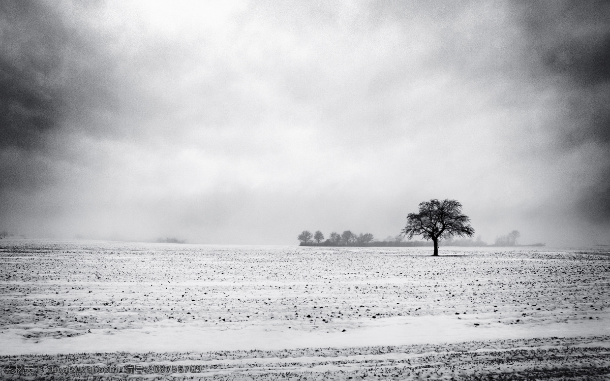 冬季风景 唯美伤感 白雪 灰色 孤单 茫茫大雪