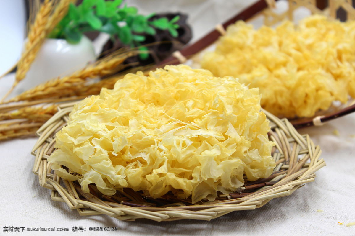 银耳 食用菌 干银耳 精品银耳 白木耳 餐饮美食 食物原料