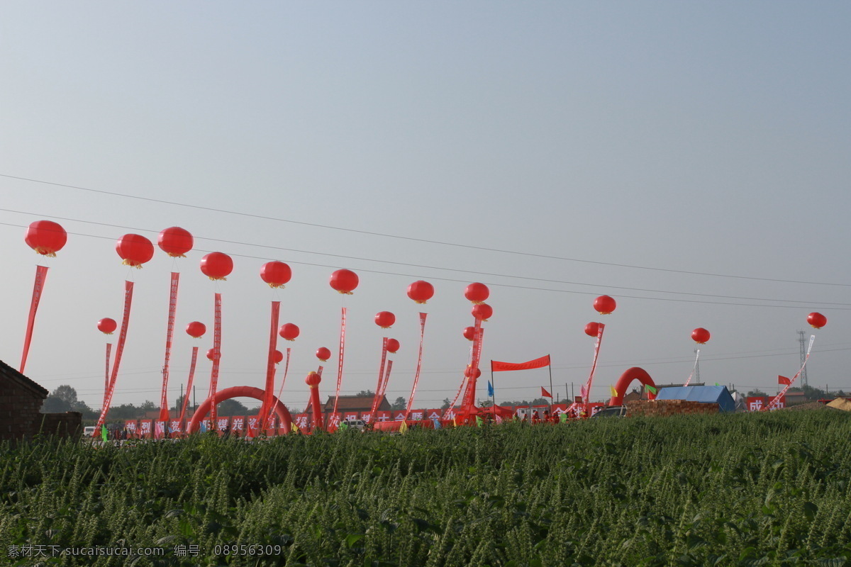 氢气球 庆典 喜庆 礼仪公司 气球 草地 活动现场 天空 红色 氛围 摄影集 节日庆祝 文化艺术