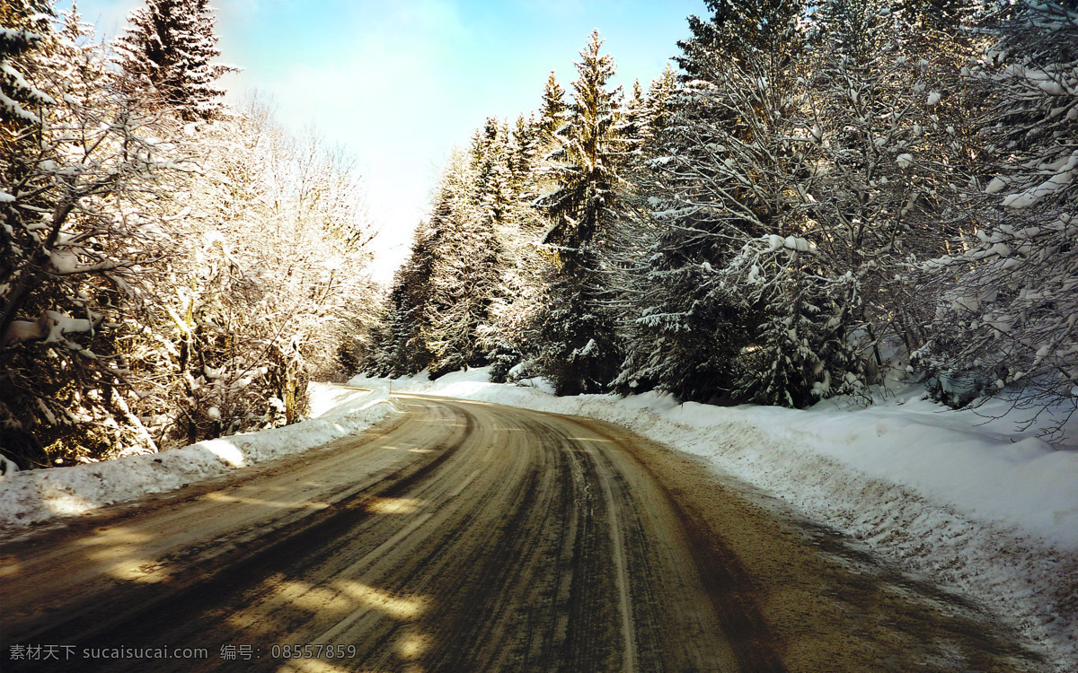 唯美 冬季 树林 小路 雪景 马路 道路