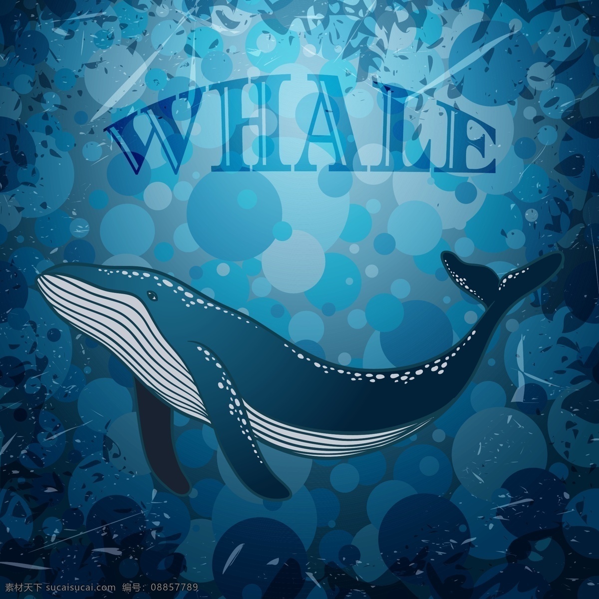 鲸鱼 梦幻 蓝色 鲸 海洋 唯美 鱼 海草 海带 深海 海 插画