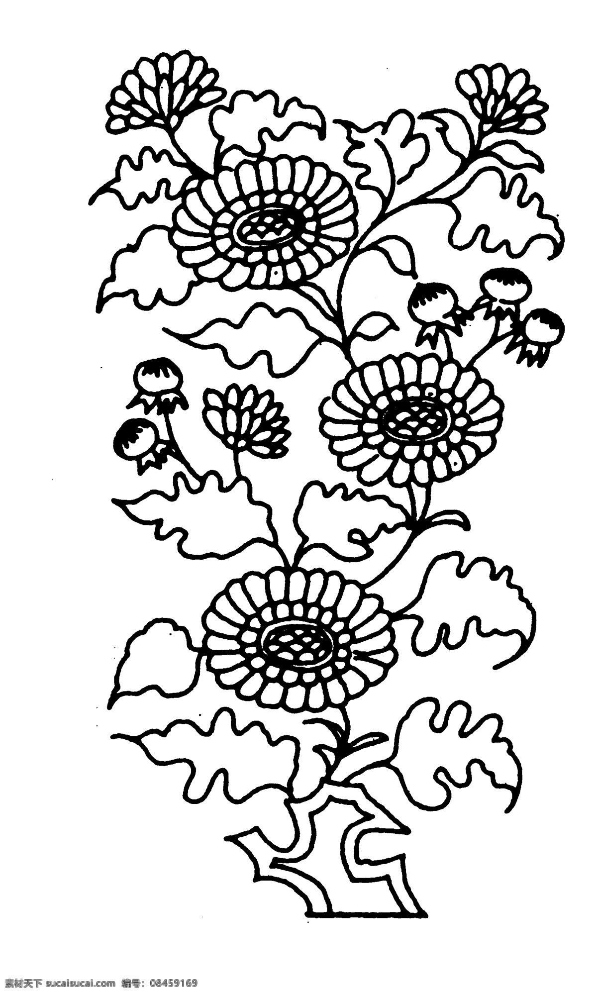 花鸟图案 元明时代图案 中国 传统 图案 设计素材 装饰图案 书画美术 白色