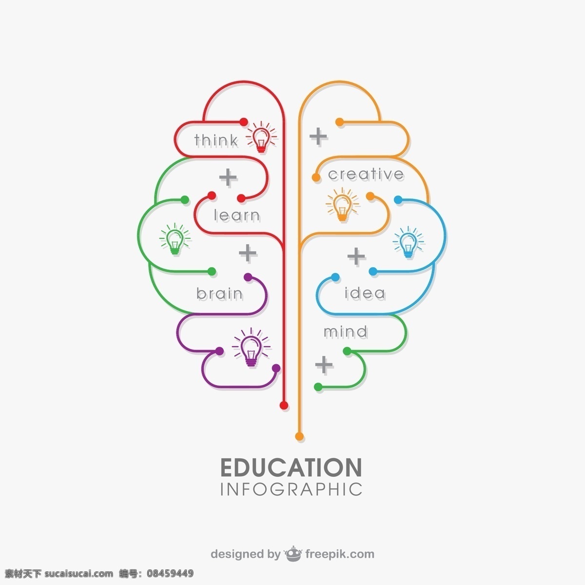 大脑 教育 信息 图 灯泡 思维 信息图 白色