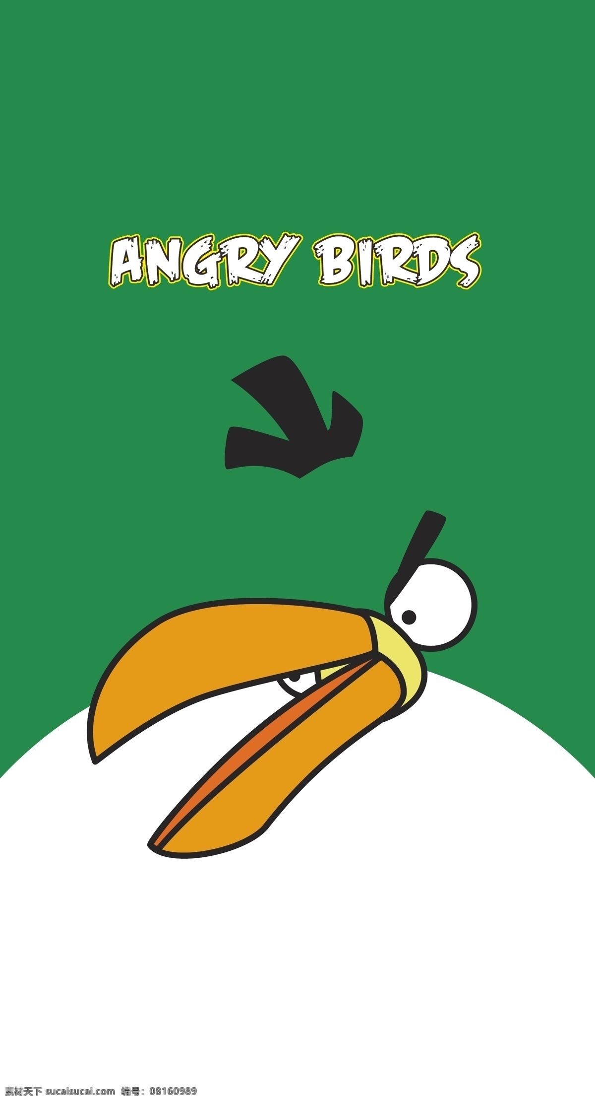 愤怒的小鸟 鸟 长嘴鸟 卡通鸟 本本封面 儿童插画 儿童图集 卡通设计 矢量