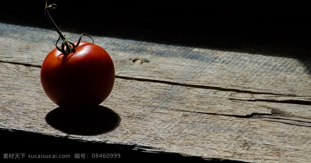 西红柿 番茄 圣女 果 圣女果 西红柿切片 小西红柿 蔬菜 水果 生物世界