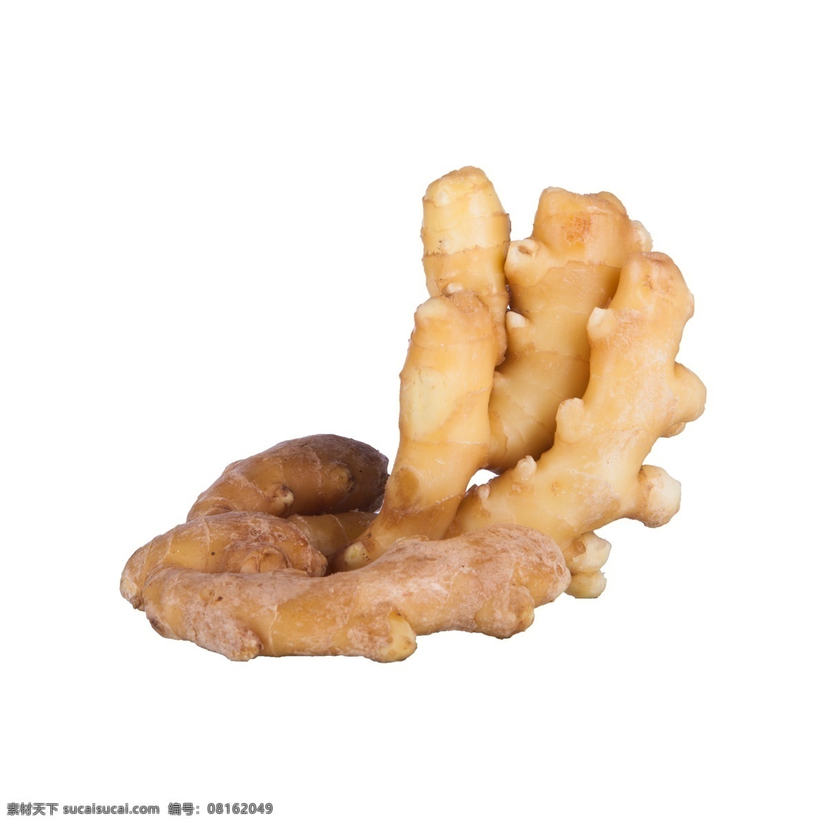 生姜 免 抠 一大块生姜 大块 刺激性食物 杀菌的食物 刺激性 食物 有营养的生姜