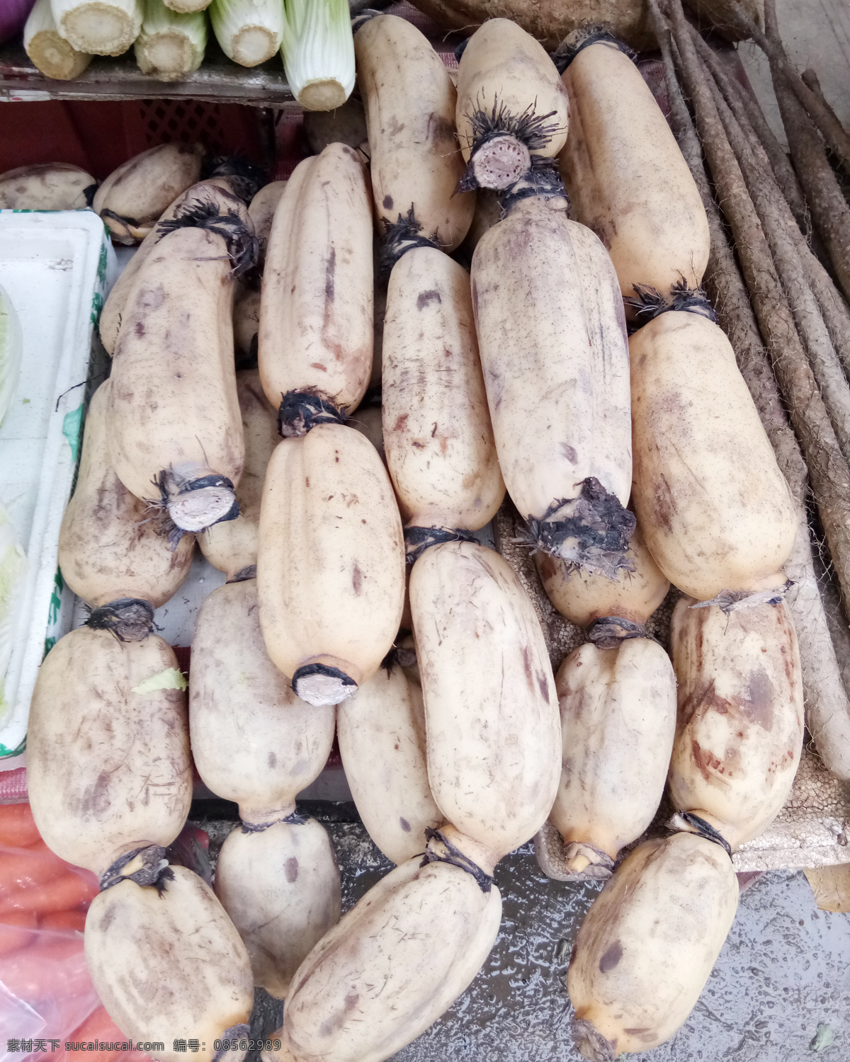 藕 蔬菜 莲藕图片 莲藕素材 生物世界