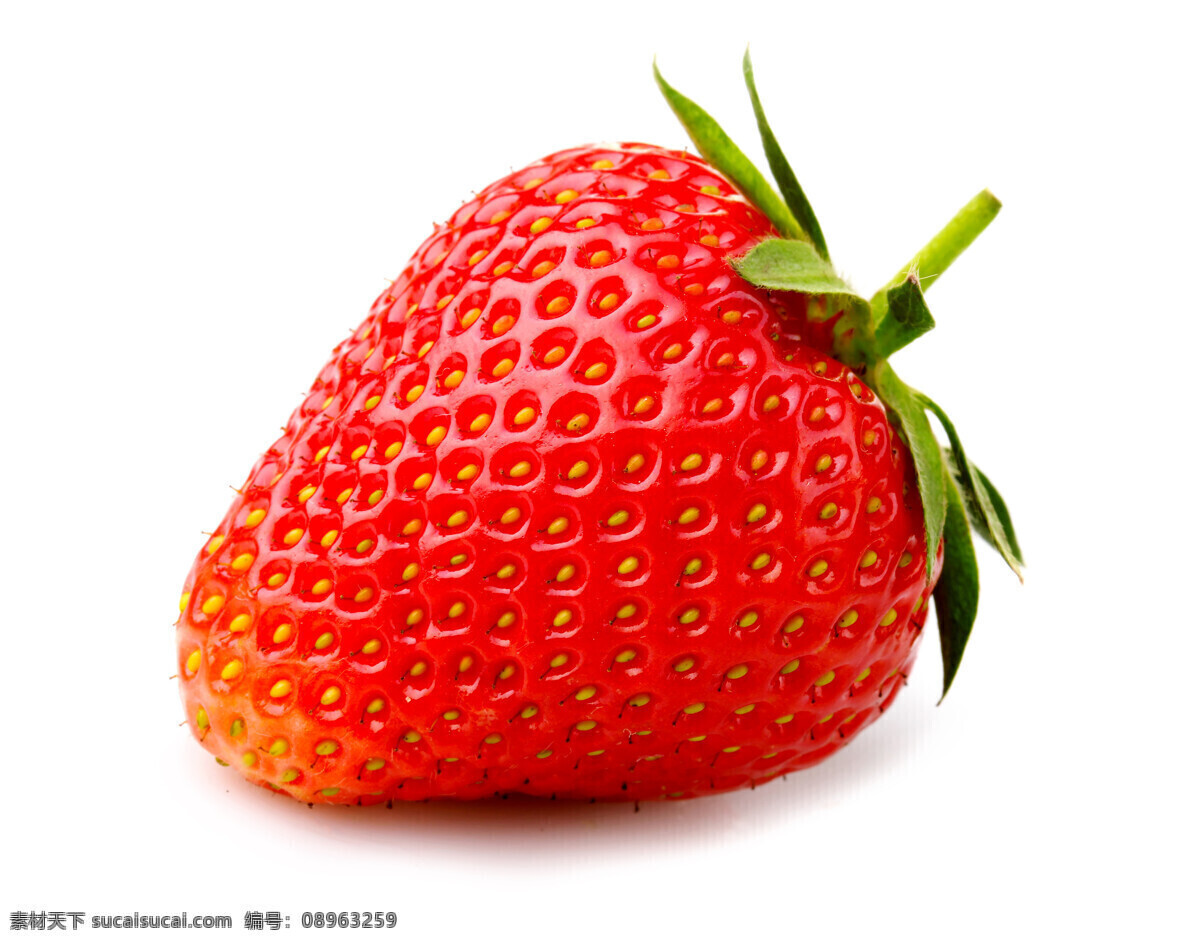 新鲜草莓 牛奶草莓 大草莓 草莓图片 美草莓 红草莓 美食 生物世界 水果