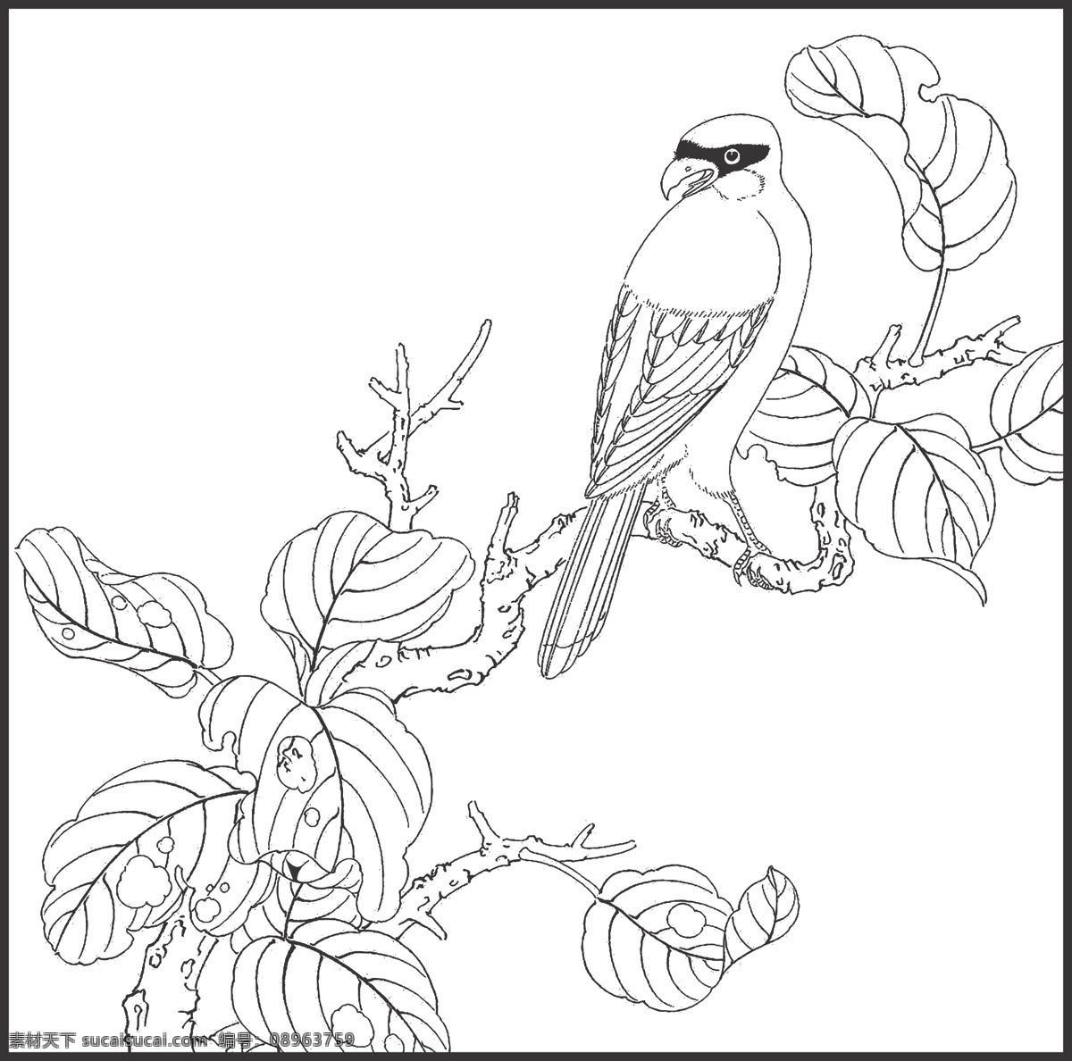 植物 花卉 观赏 鸟儿 装饰 线条 矢量 插画 白描 花鸟白描图 生物世界 鸟类